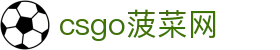csgo菠菜网(中国区)有限公司官网